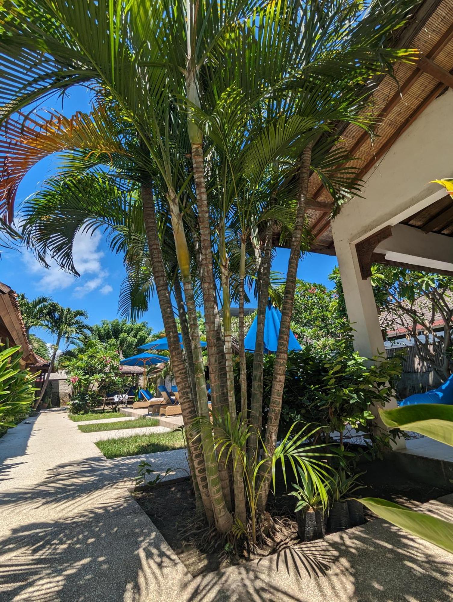 Indigo Bungalows Gili Trawangan Eksteriør bilde