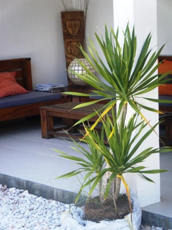 Indigo Bungalows Gili Trawangan Eksteriør bilde